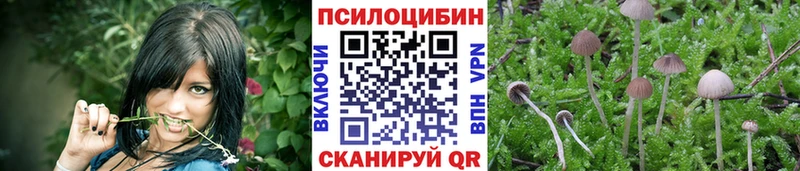 blacksprut сайт  Усолье-Сибирское  Псилоцибиновые грибы Magic Shrooms 